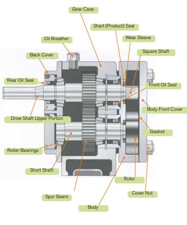 APV R Series rotary positive displacement pump cutaway